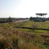 Li si nota andando a Bariblu: sul cavalcavia che porta all�ipermercato basta guardarsi sulla destra per intravedere, immersi tra ulivi, mandorli e alti alberi, una serie di edifici particolari. Si tratta di ci� che resta della tenuta De Filippis, una villa antica di fine 800/inizio 900 la cui propriet� si estende su 34mila metri quadrati